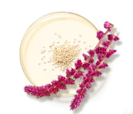 Cleansing Gel (Limpiador Facial) Tamaño de Viaje 1.0 FL oz | 30ml