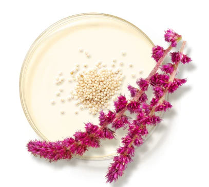 Exfoliating Cleanser (Renovación Energizante) Tamaño de Viaje 1.0 FL oz | 30ml