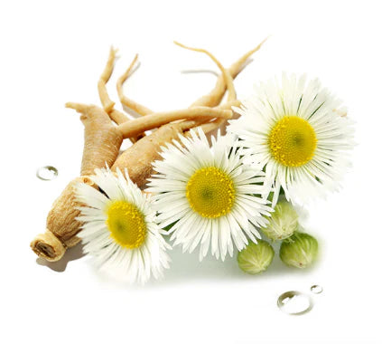 Pre-Treatment Toner (Balance & Brighten) Tamaño de Viaje