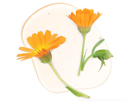 SOLAR DEFENSE TINTED (SPF 30 de Amplio Espectro) Tamaño de Viaje